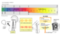 Radio_transmition_diagram_en.png (27 times)