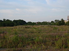 Blick über den verwilderten Bereich der Gruppe B und C in Richtung Nordosten (im Hintergrund das ehemalige Stellwerk Snt)