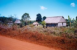 Primitive thatched houses on stilts lining a dusty red dirt road. Surrounding vegetation includes a variety of trees and some banana plants.