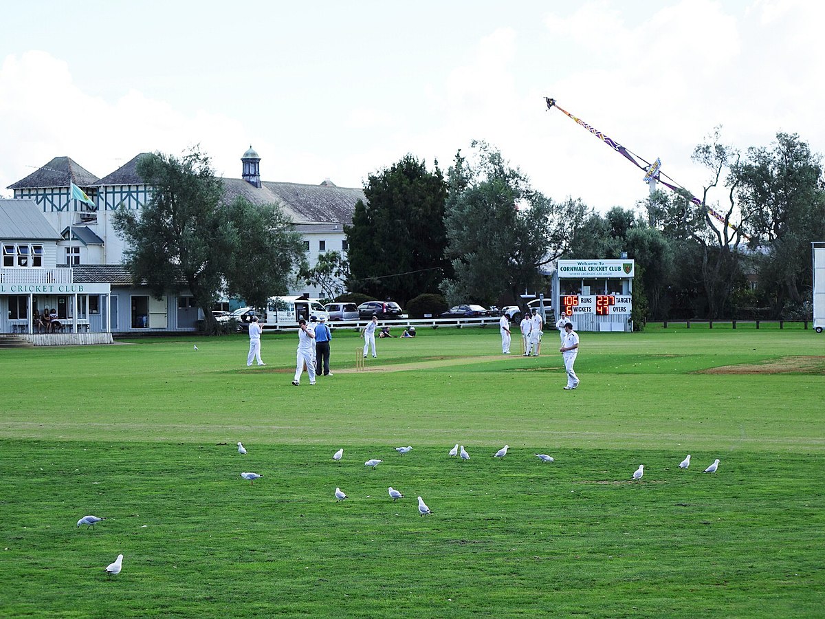 Harpsden cricket club