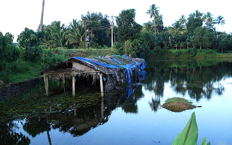 File:Reflectionsofkerala.jpg