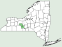 Rhodiola integrifolia ssp leedyi NY-dist-map.png