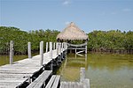 Miniatura para Palapa