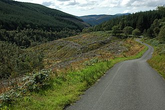 Felling activity in the Dyfi Forest Road in the Dyfi Forest - geograph.org.uk - 1454175.jpg