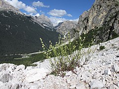 Dolomites: Toponyme, Géographie, Géologie