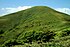 北側から望む竜ヶ岳山頂部、笹の中にシロヤシオの木が点在する（2002年5月24日）