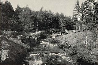 <span class="mw-page-title-main">Salmon Falls River</span> River in Maine, United States