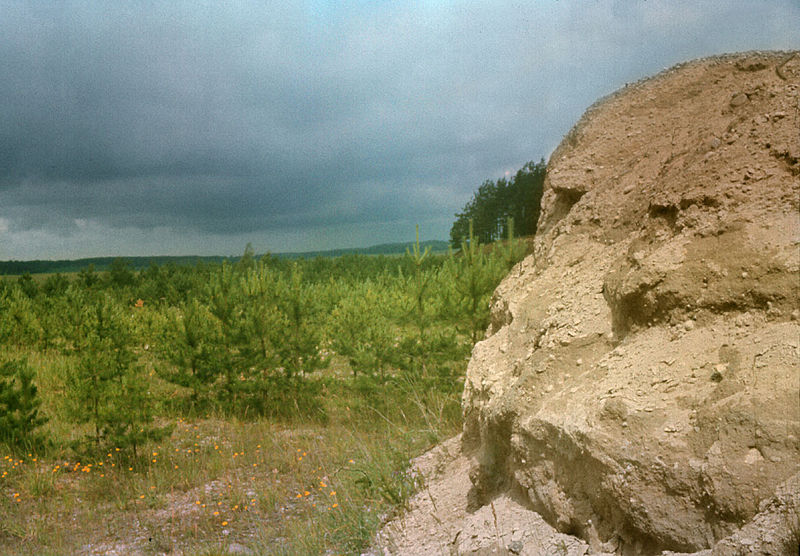 File:Sandstone near Ashmiany.jpg