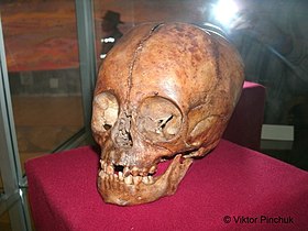 Scull from Tiwanaku (Bolivia) Photo taken on a Latin American expedition