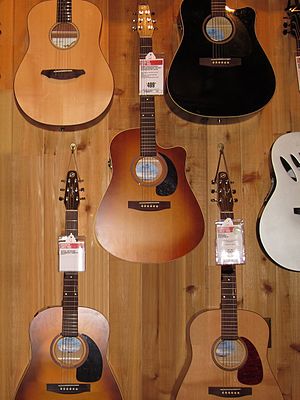 Several Seagull guitars on display Seagull guitars on the wall.jpg