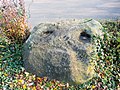 Menhir Teufelsstein Sennewitz