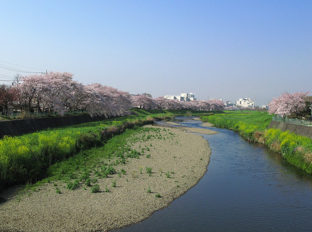 Сайтама япония. Префектура Сайтама Япония. Аракава река. Саяма Япония город. Япония реки Префектура.