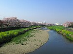 柳瀬川のサムネイル