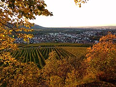 Aussicht Richtung Rommelshausen und Fellbach