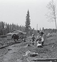 An evacuee family resettled in the Askola parish in Southern Finland, toiling on the field. Siirtovaki raivaa kylmaa tilaa.jpg