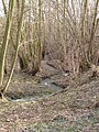 Čeština: Sladovařský potok porost pod Buší. Okres Praha-Západ, Česká republika. English: Sladovařský potok (stream) vegetation under Buš village, Prague-West District, Czech Republic.