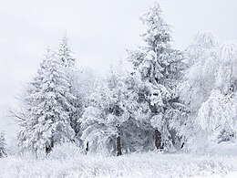 Snow_Scene_at_Shipka_Pass_1.JPG