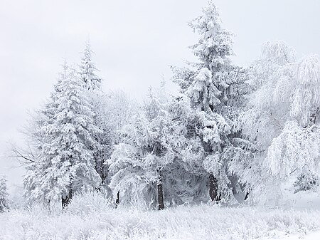 Fail:Snow Scene at Shipka Pass 1.JPG