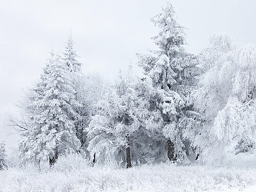 Schneelandschaft in Bulgarien