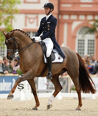 <span class="mw-page-title-main">Sönke Rothenberger</span> German equestrian