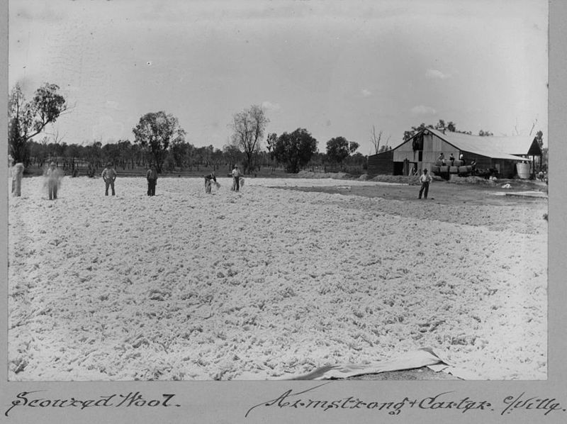 File:StateLibQld 2 122970 Scoured wool at Armstrong and Carter's wool scour, Charleville, 1902-1904.jpg