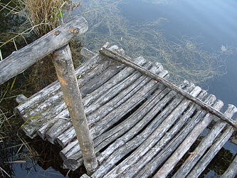 vorgeschichtlicher Steg (Rekonstruktion), Nahaufnahme