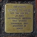 image=File:Stolperstein Wildeshausen Westerstraße 24 Sophie de Haas.JPG