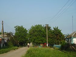 Street in Timashyovsk, Timashyovsky District