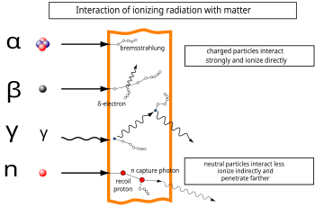 a flowering tree and other oral