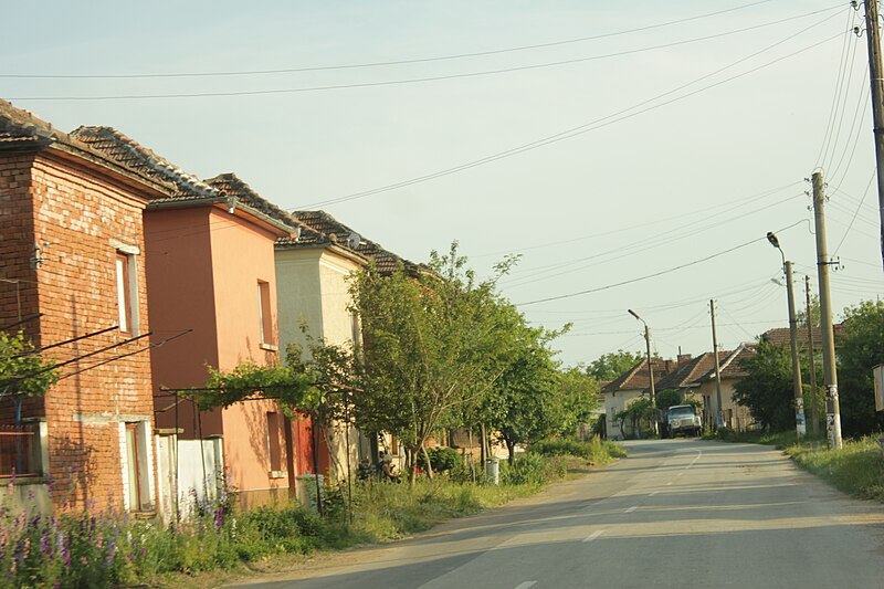 File:Street in Pisarovo.JPG