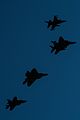 Strike Eagle in four-ship flyover of 58th Presidential Inauguration 170119-F-FU646-0156.jpg