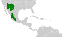 Sturnella lilianae map.svg