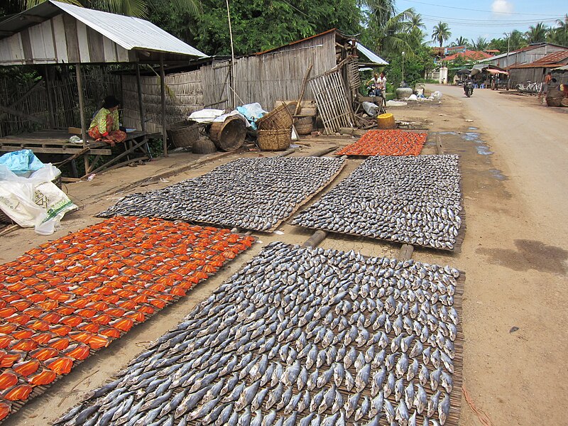 File:Sun-dried shark minnows and snakehead fish in Battambang.jpg