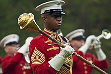 A Master Gunnery Sergeant pictured during the 2012 Sunset Parade. Sunset Parade USMC-120814-M-HZ646-130.jpg