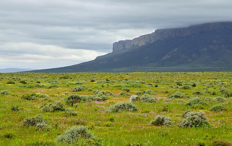 File:Suráfrica, Cederberg 1.jpg