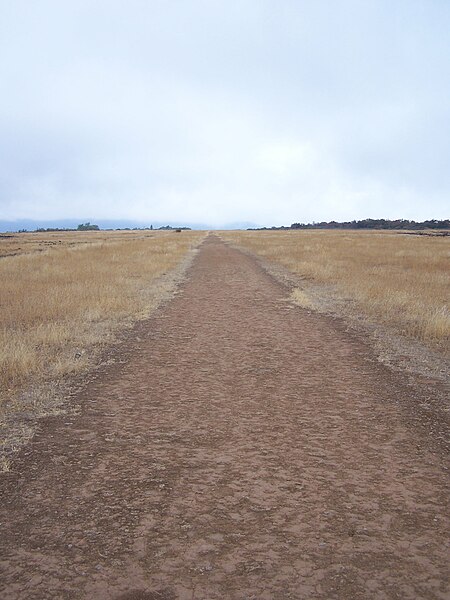 File:Table Rock Airstrip.jpg