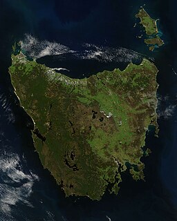 Tasmanian temperate rainforests