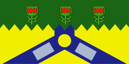 Launceston Flag