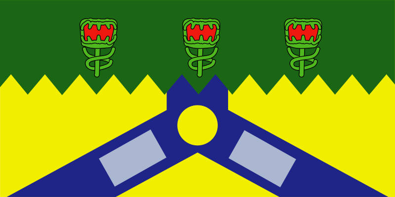 File:Tasmania Launceston City Flag.svg