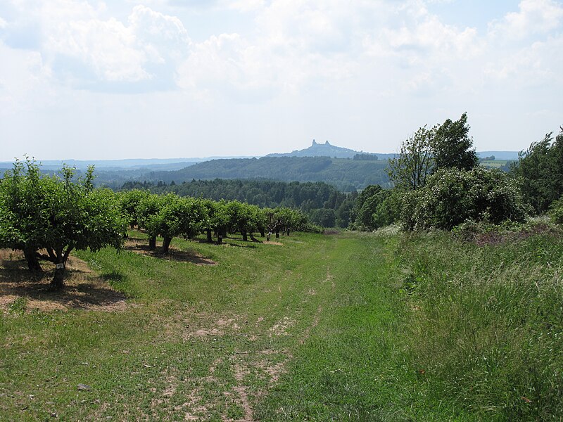 File:Tatobity, jablečná plantáž.JPG