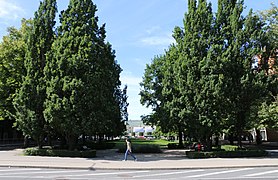 Place du Théâtre vue de la place d'Islande.