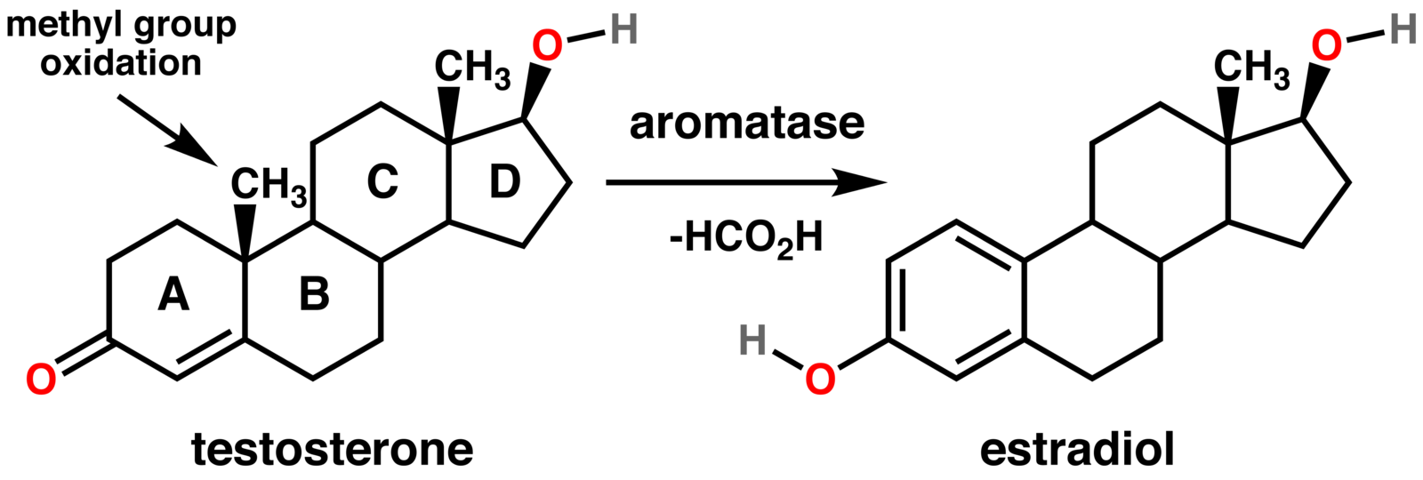 Эстрадиол гормон у мужчин. Тестостерон ароматаза в эстрадиол. Тестостерон эстрогены ароматаза. Эстроген формула структурная. Синтез тестостерона ароматаза.