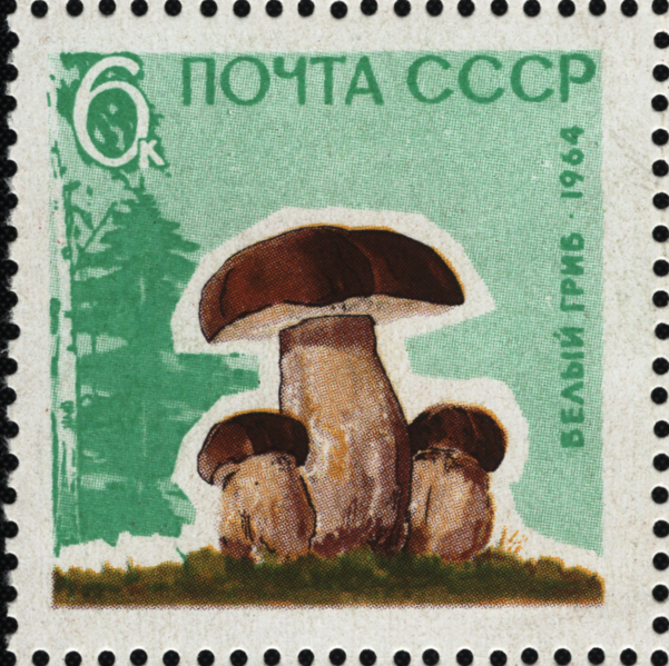File:The Soviet Union 1964 CPA 3125 stamp (Mushrooms. Cep or penny bun (Boletus edulis)).png