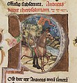 Chronicon Pictum, Hungarian, Andrew II, King, crusade, crusaders, horse, flag, medieval, history