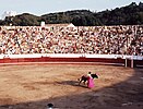 Der Matador bei der Arbeit mit dem großen gelb/purpurfarbenem Tuch der Capa