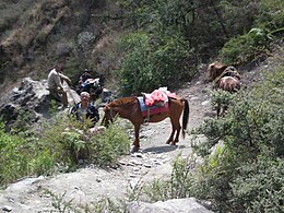 Tiger Leaping Gorge trail 19.JPG