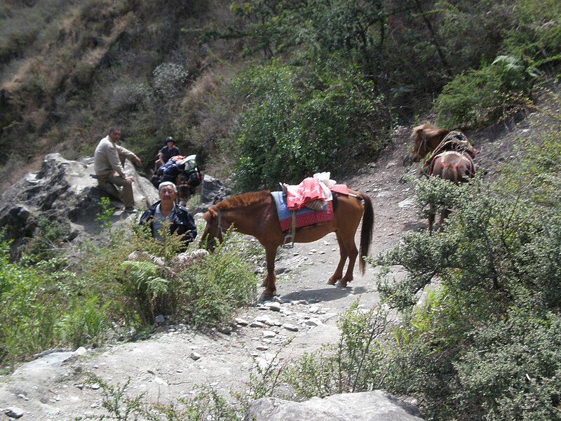 File:Tiger Leaping Gorge trail 19.JPG