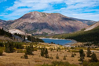 <span class="mw-page-title-main">Tioga Peak</span> Tioga Peak is a mountain peak, outside Yosemite National Park