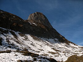 Torkopf von West.JPG