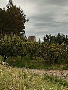 La torre vista dall'antico mulino